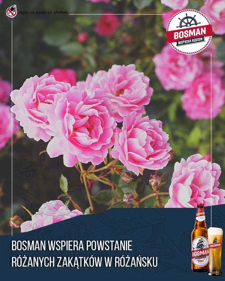 Najbardziej różana wieś w Polsce