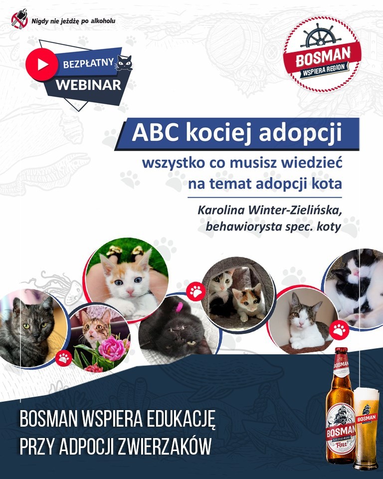 WEBINAR pod tytułem “ABC kociej adopcji”